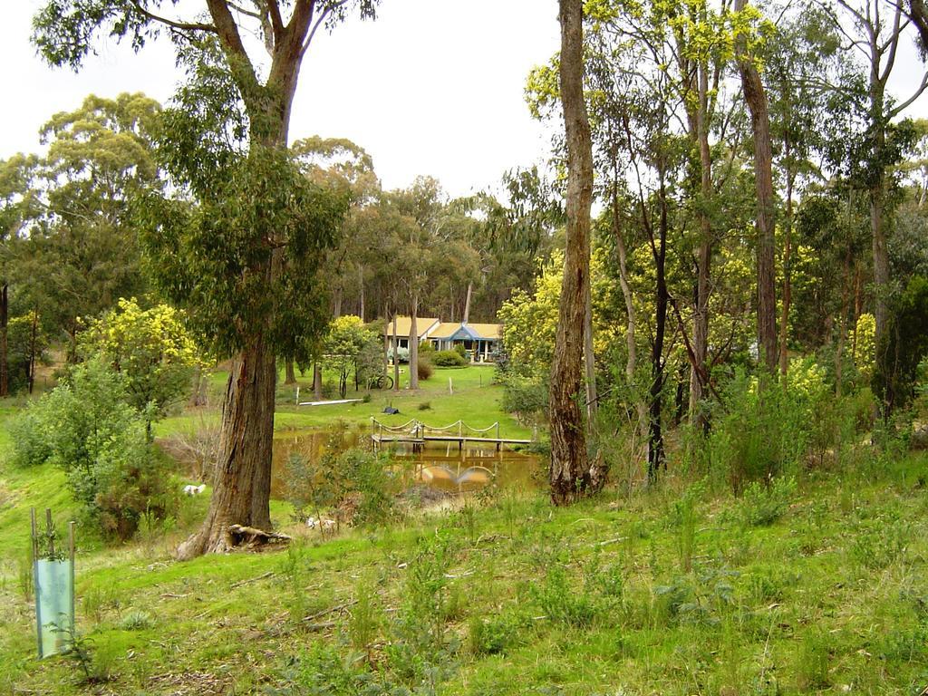 Countryside Retreat Romantic Tranquil Native Wildlife Township Hepburn - Daylesford Hepburn Springs Quarto foto