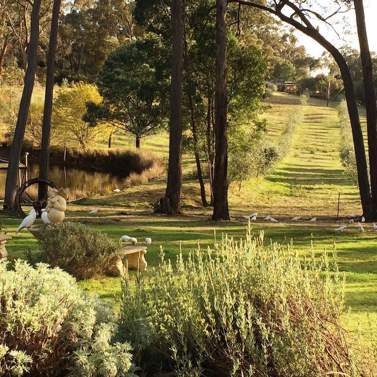 Countryside Retreat Romantic Tranquil Native Wildlife Township Hepburn - Daylesford Hepburn Springs Exterior foto
