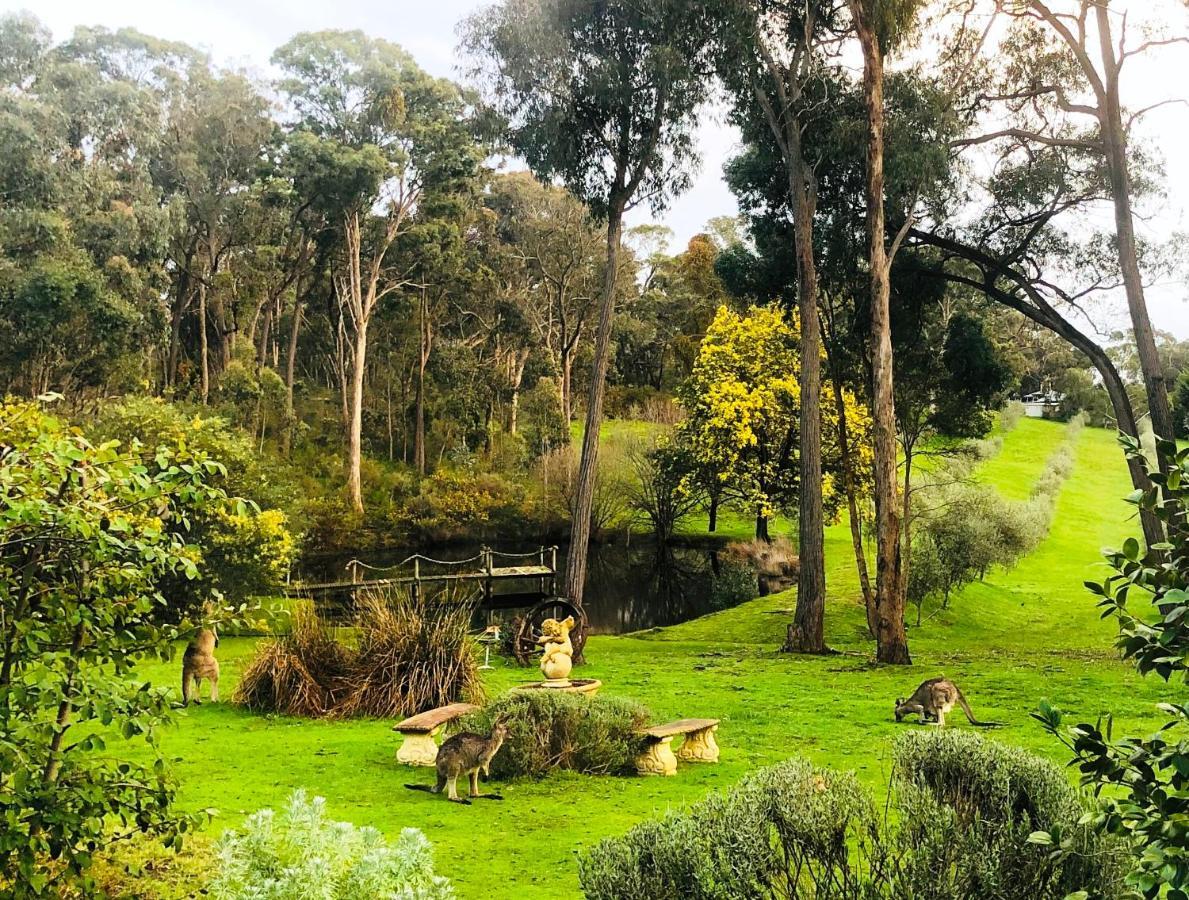 Countryside Retreat Romantic Tranquil Native Wildlife Township Hepburn - Daylesford Hepburn Springs Exterior foto